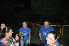 IV_Seran_2019_003
